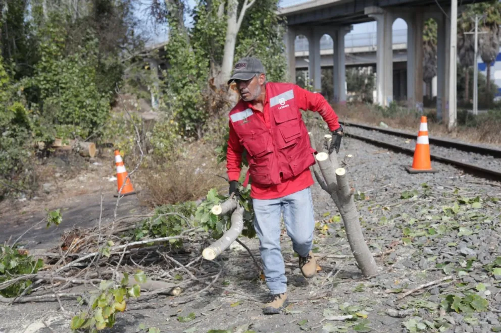 Temporal De Viento Actualizan Alerta Temprana Preventiva Para