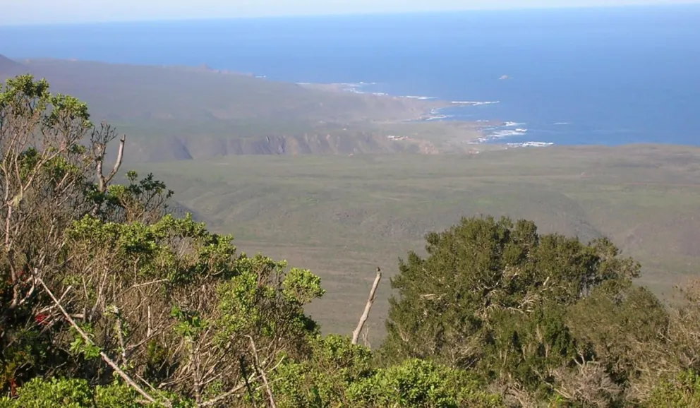 Parque Nacional Bosque Fray Jorge celebra sus 75 años con entrada liberada.