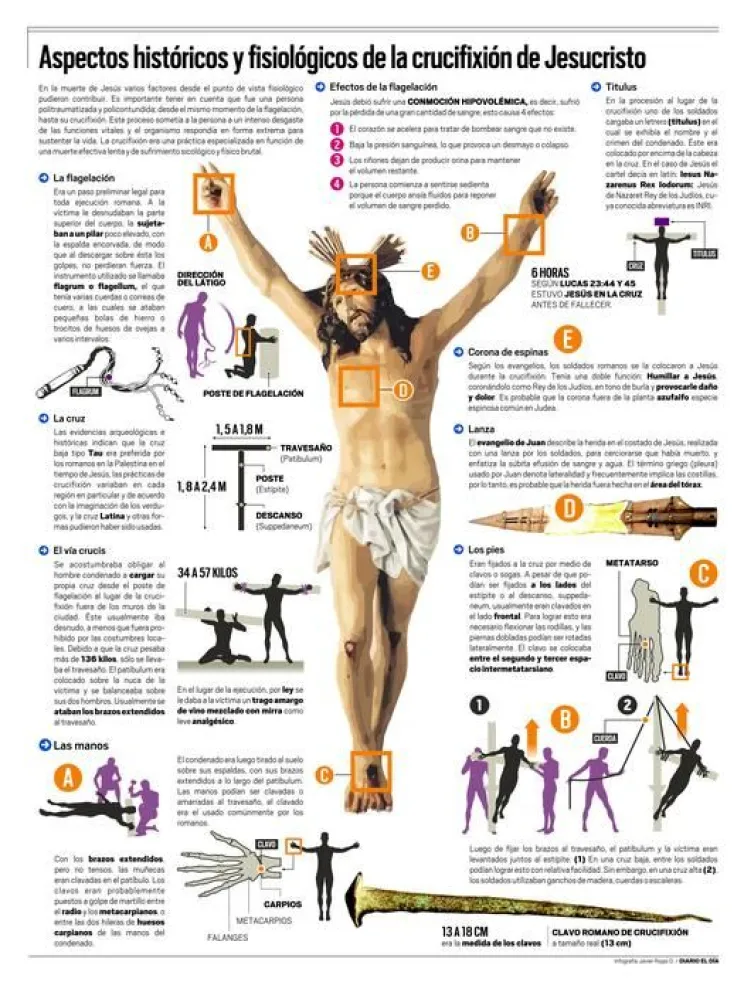 Infografía: Aspectos históricos y fisiológicos de la crucifixión de Jesucristo