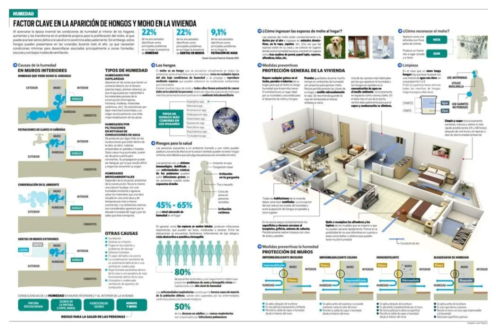 Infografía: Humedad en la Vivienda