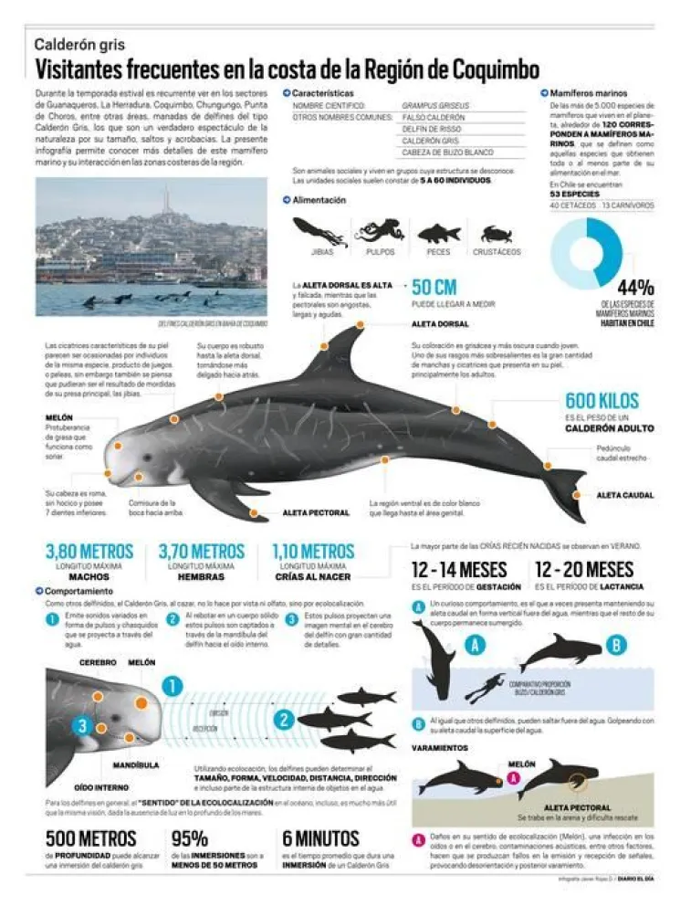 Infografía Javier Rojas / Diario El Día