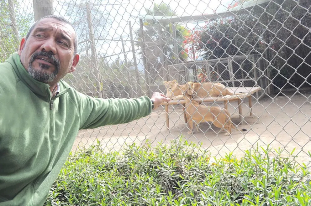 En zoológico local aseguran que cumplen con medidas de seguridad ante emergencias