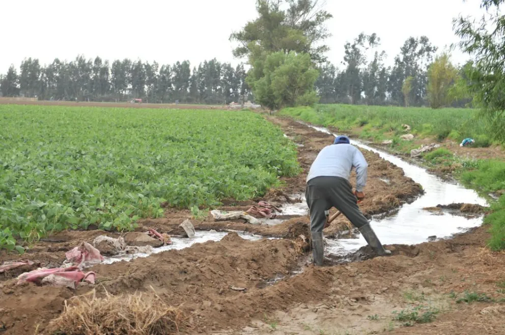 Agricultores insisten en emplazar a senadores por reforma constitucional del agua