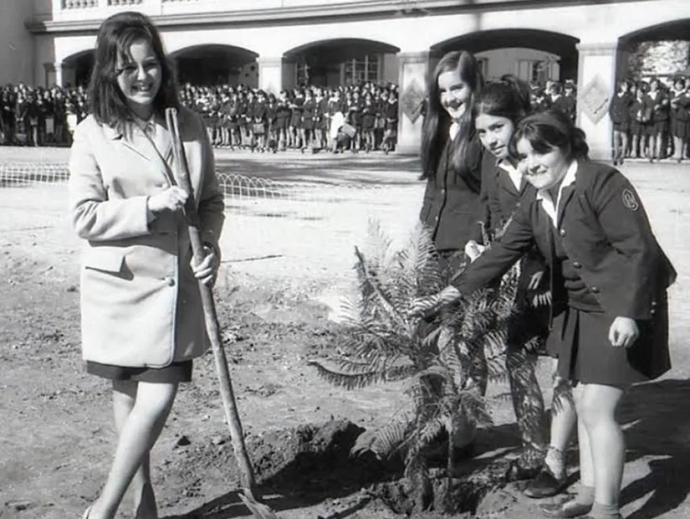 Liceo organiza Té del Recuerdo para este jueves en La Serena