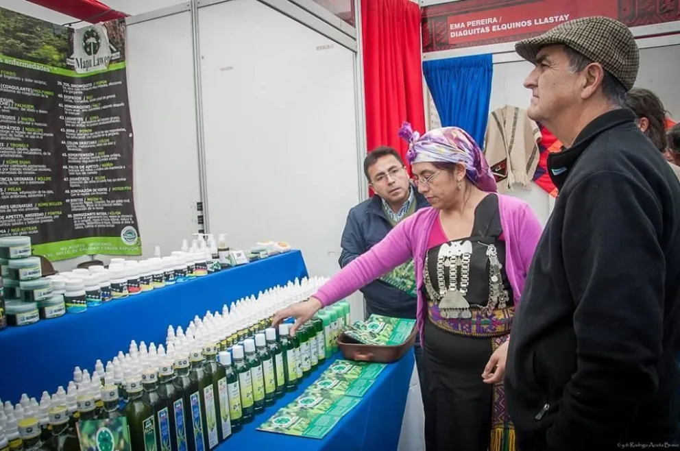 Mañana comienza la Feria de Pueblos Originarios