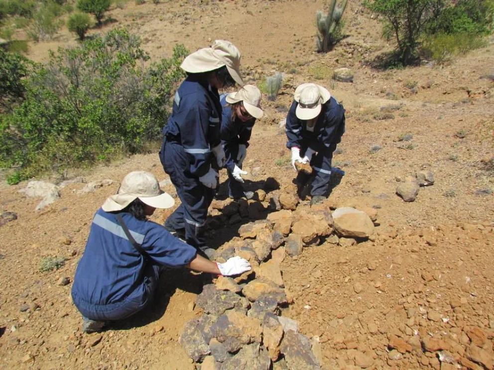 Gobierno genera acciones para mitigar Un 73% de la población regional se  ve afectada por una desertificación grave