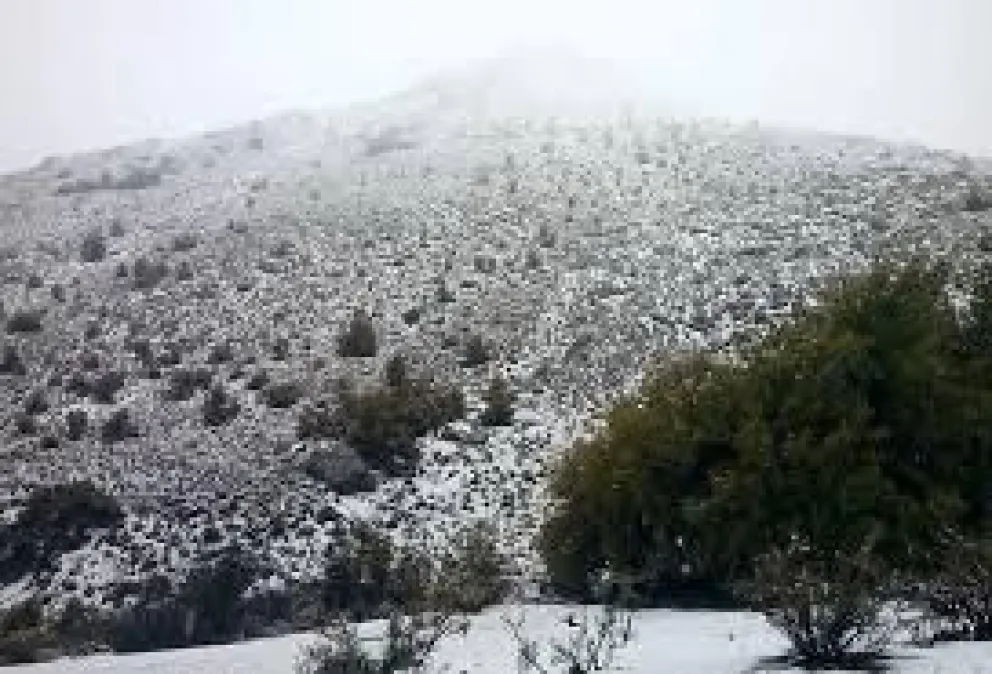 CEAZA alerta de heladas en la Región de Coquimbo
