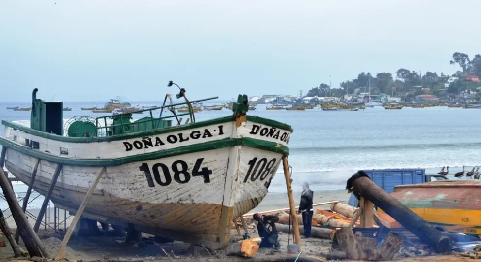 Coquimbo: Pescadores de Tongoy retoman actividad  tras entrega de nuevas embarcaciones