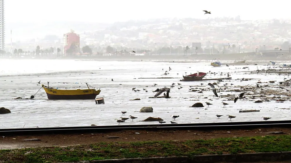 Coquimbo: Fuerte lluvia y vientos causan estragos en la comuna puerto