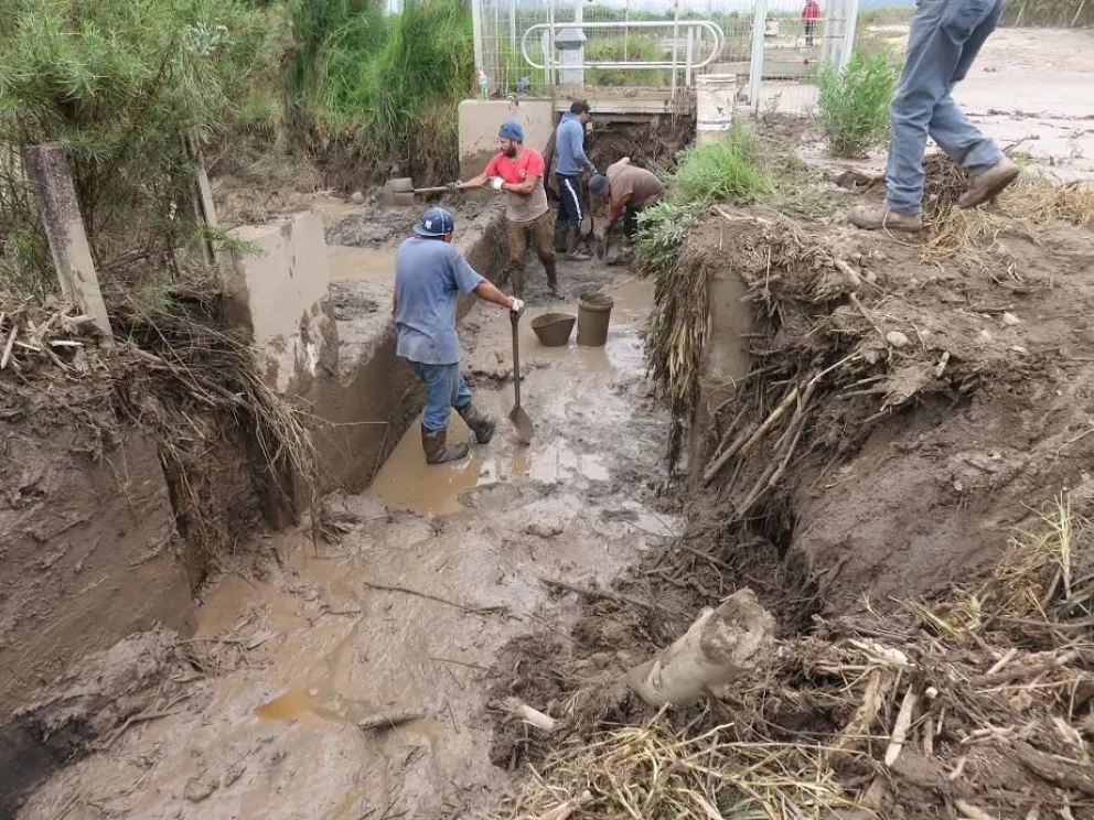 Regantes del Elqui toman medidas preventivas frente a próximas precipitaciones