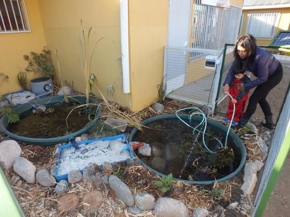 Alumnos del Choapa reutilizan aguas grises con un sistema de biofiltro