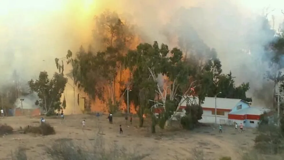 Incendio consume casi  dos hectáreas en Cendyr en La Serena