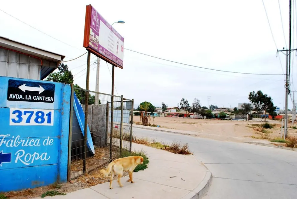 Vecinos de La Cantera acusan abandono por parte de las autoridades de la comuna