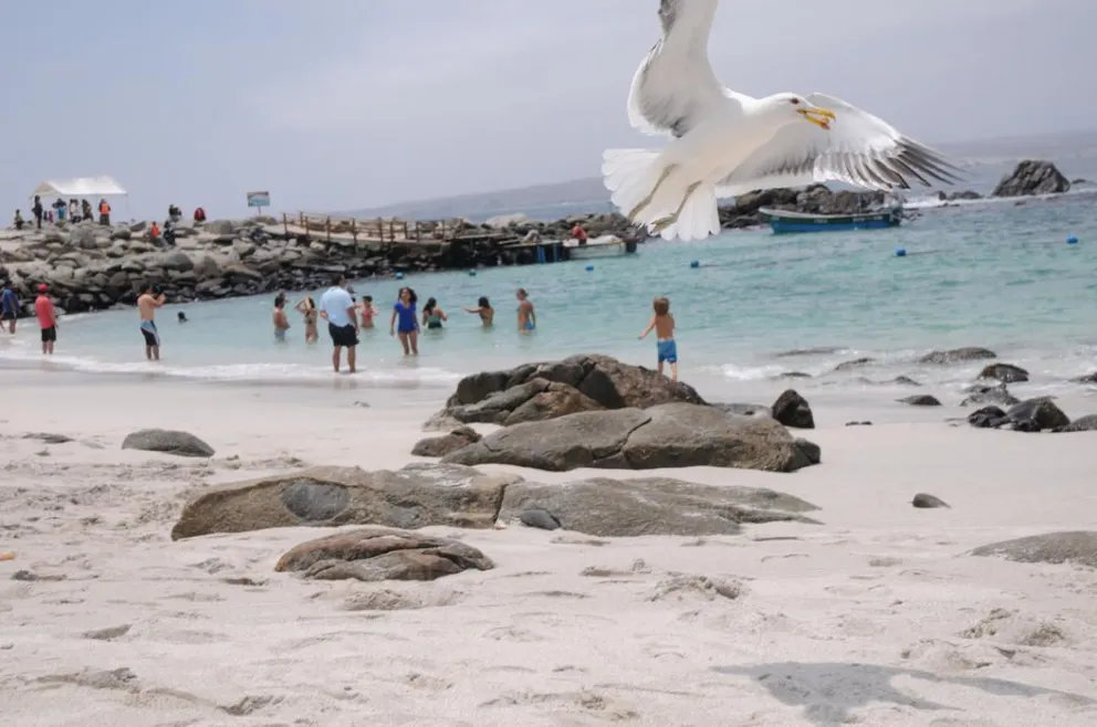 La Higuera: Un lugar ideal para descansar