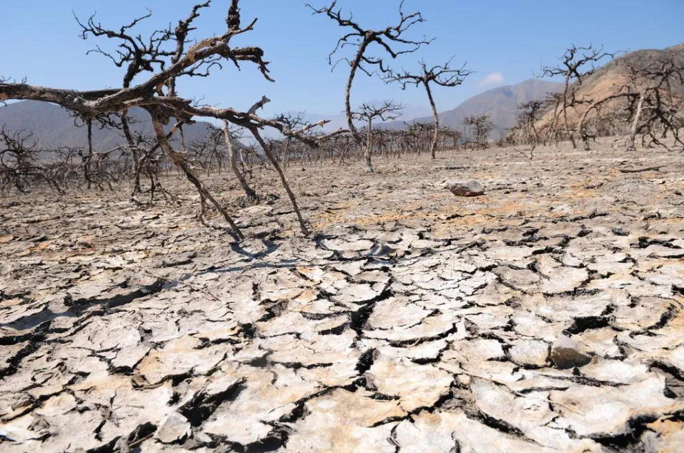Core destina 2.400 millones para mitigar la sequía