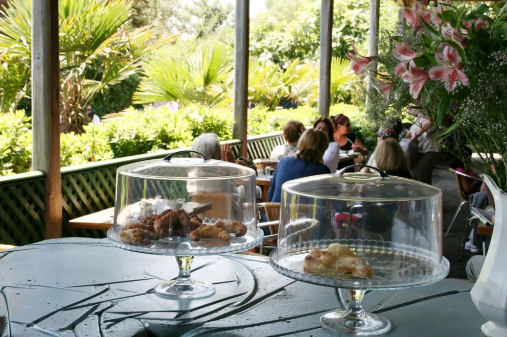 Bodegón Cultural de Los Vilos, un encuentro con la historia