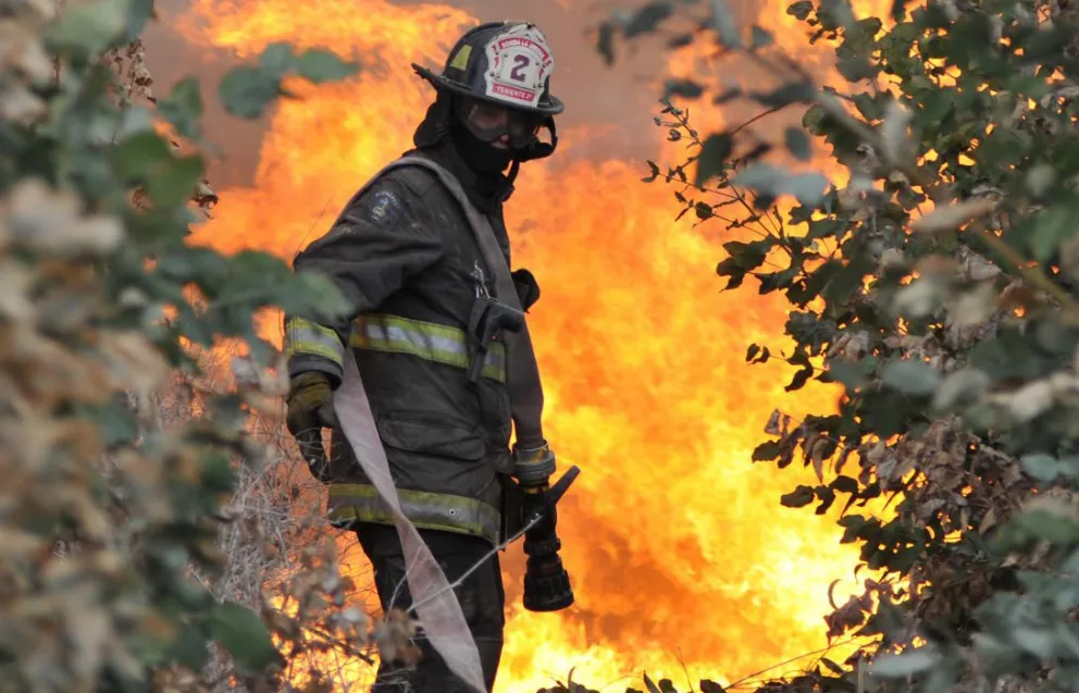 Adelantan funcionamiento de brigadas en Ovalle por reiterados incendios forestales