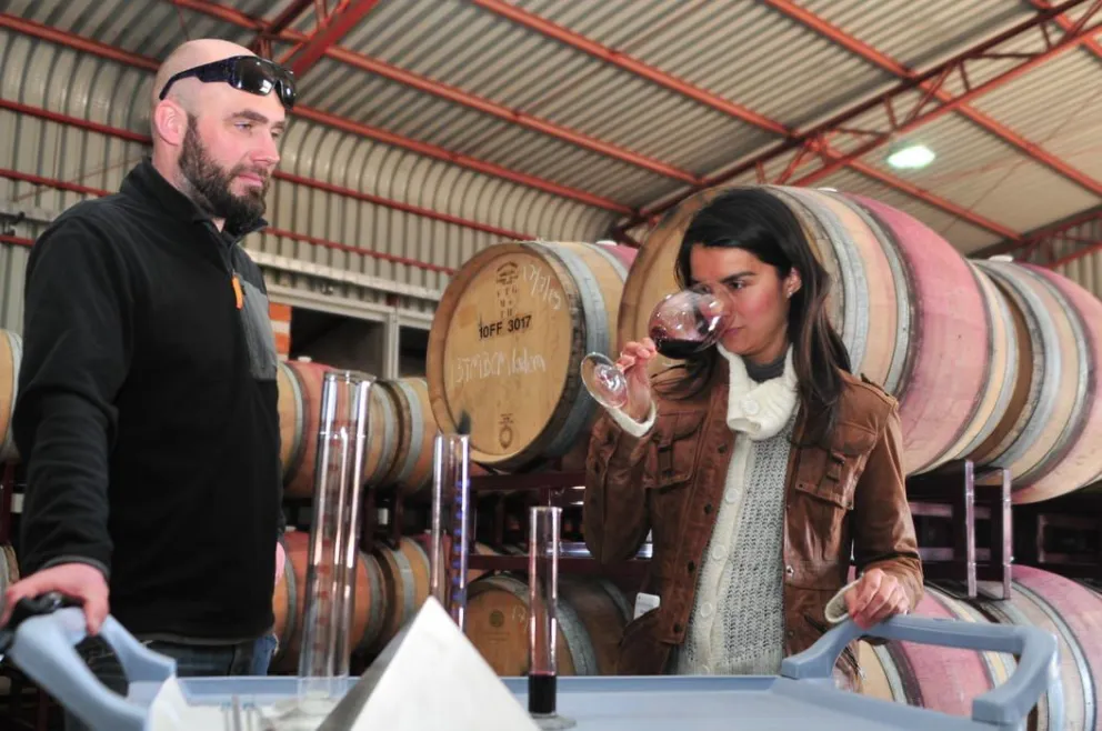 Elqui Wine presenta 2 nuevas variedades de vino elaboradas con uva del valle de Elqui