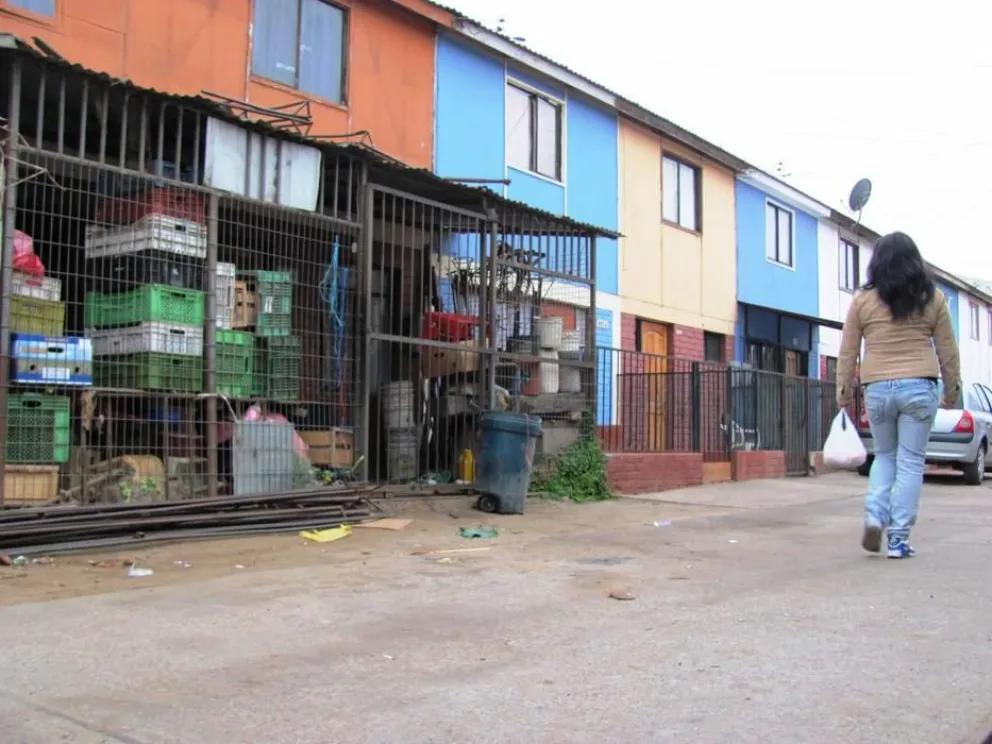 Vecinos denuncian plaga de roedores en sus viviendas y piden ayuda al municipio