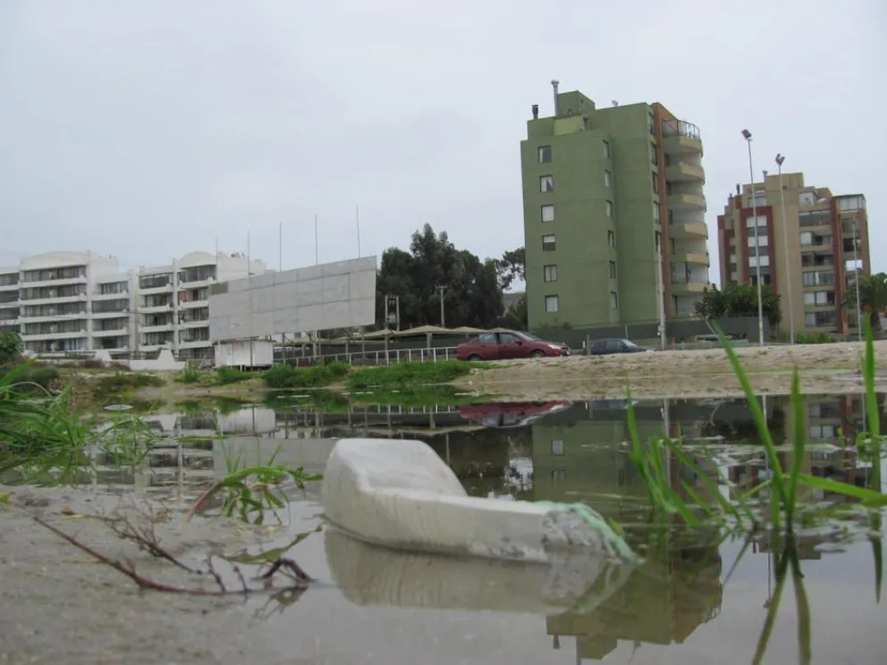 Vecinos exigen un estudio del impacto ambiental en la bahía de La Herradura