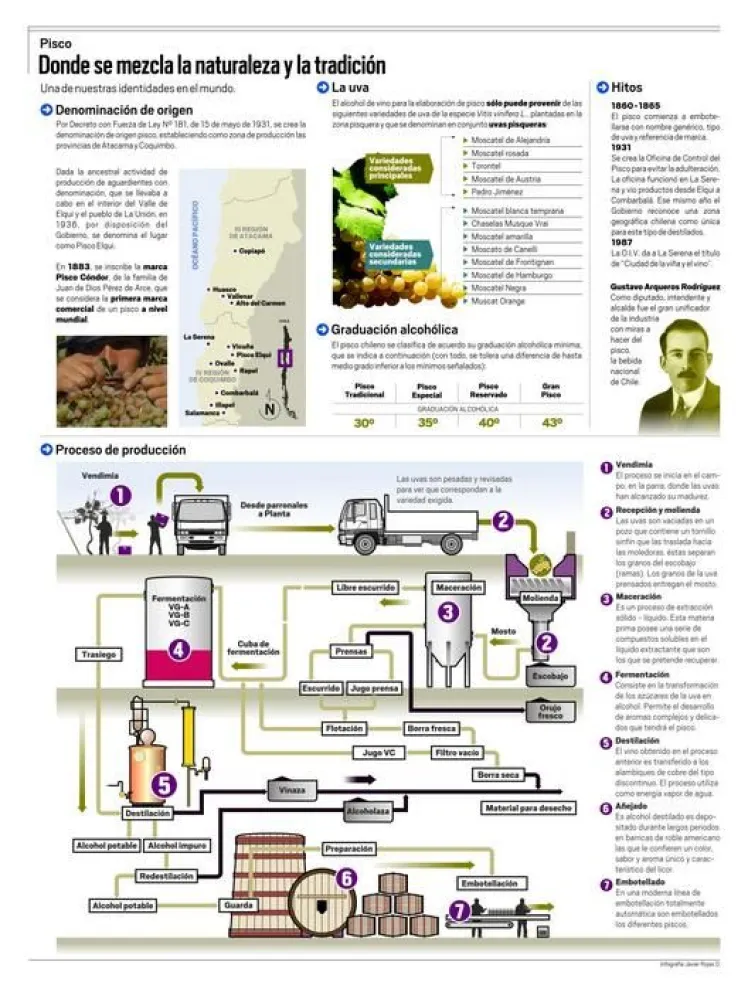 Infografía: Proceso de producción del Pisco
