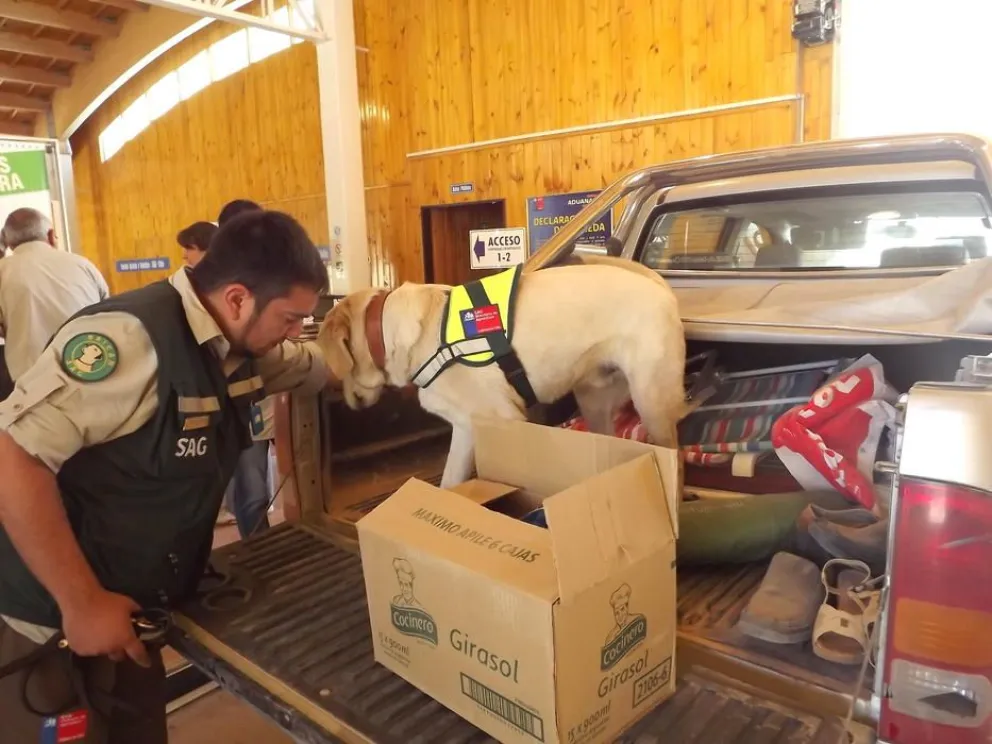 Brigada canina se suma a las fiscalizaciones en frontera