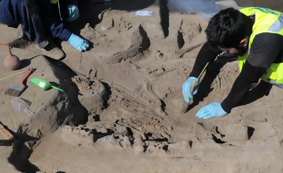 En las labores de rescate trabajan 80 investigadores entre  arqueólogos, antropólogos físicos y conservadores. FOTO LAUTARO CARMONA