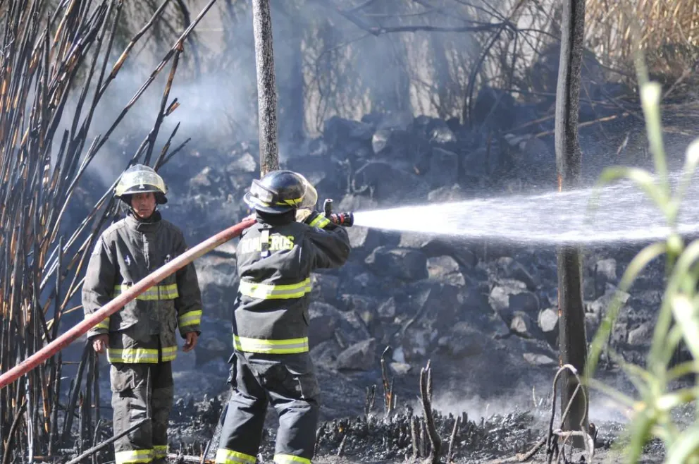 Incendio arrasa  con 15 hectáreas en Paihuano