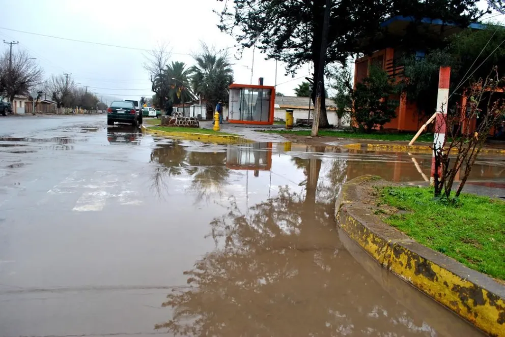 Lluvias en Punitaqui alcanzan los 50 milímetros
