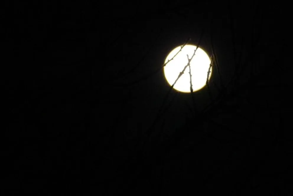 Las claves para ver la madrugada de este lunes el Eclipse parcial de Luna