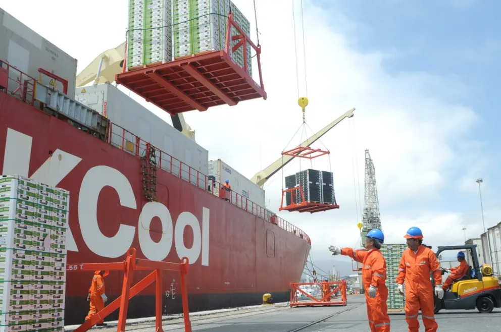 Los despachos al exterior de la agricultura han mantenido una tendencia al alza durante todo este año, cifras que deberían incrementarse en los próximos meses con el inicio de la temporada de uva. FOTO EL DÍA