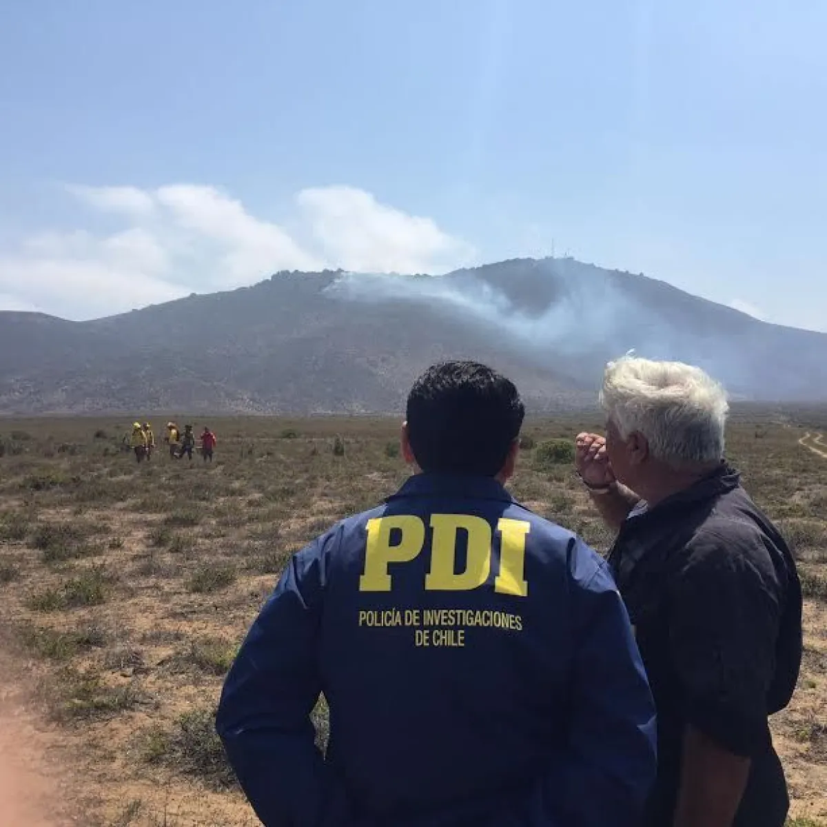 Investigan causas de incendio forestal que afectó al sector de la ...