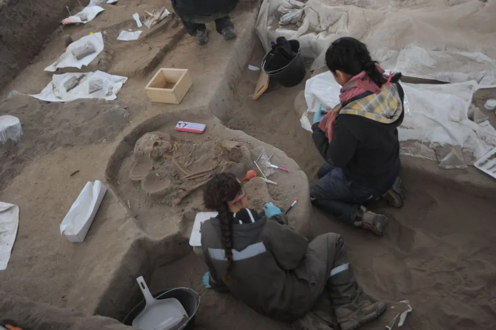 El sitio arqueológico El Olivar fue descubierto en julio de 2015 y aporta importantes indicios de las culturas Molle, Ánima, Diaguita y Diaguita Inca.