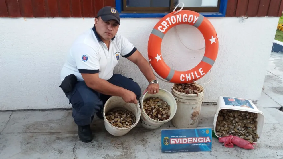 Actualmente las machas se encuentran en veda, de ahí su alto valor comercial en el mercado ilegal, por eso la importancia del trabajo preventivo y el patrullaje de personal marítimo. Foto: El Día