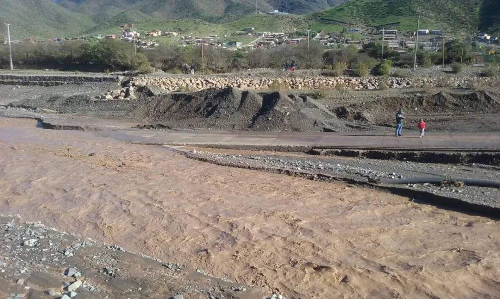 Foto: Lautaro Carmona
