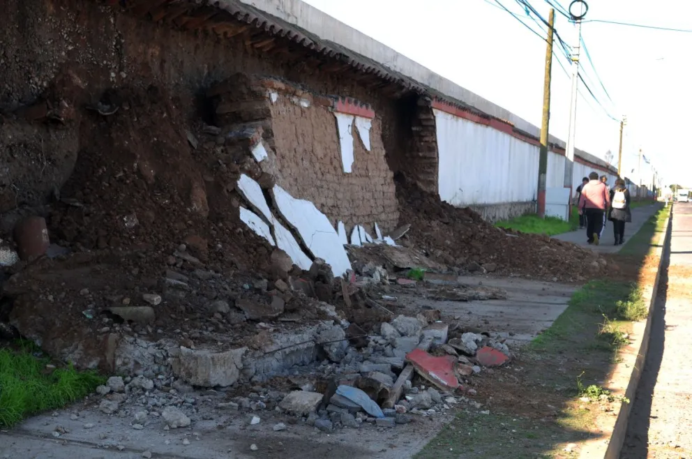 Foto Andrea Cantillanes