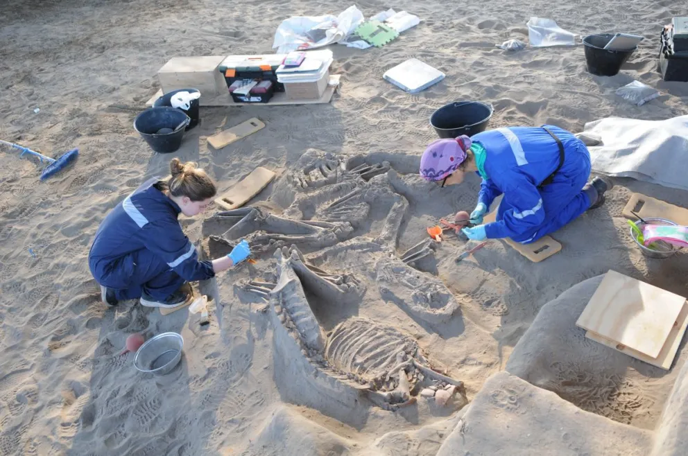 Los especialistas se encuentran retirando los cuerpos que se encuentran más expuestos. El resto se va a mantener en el lugar