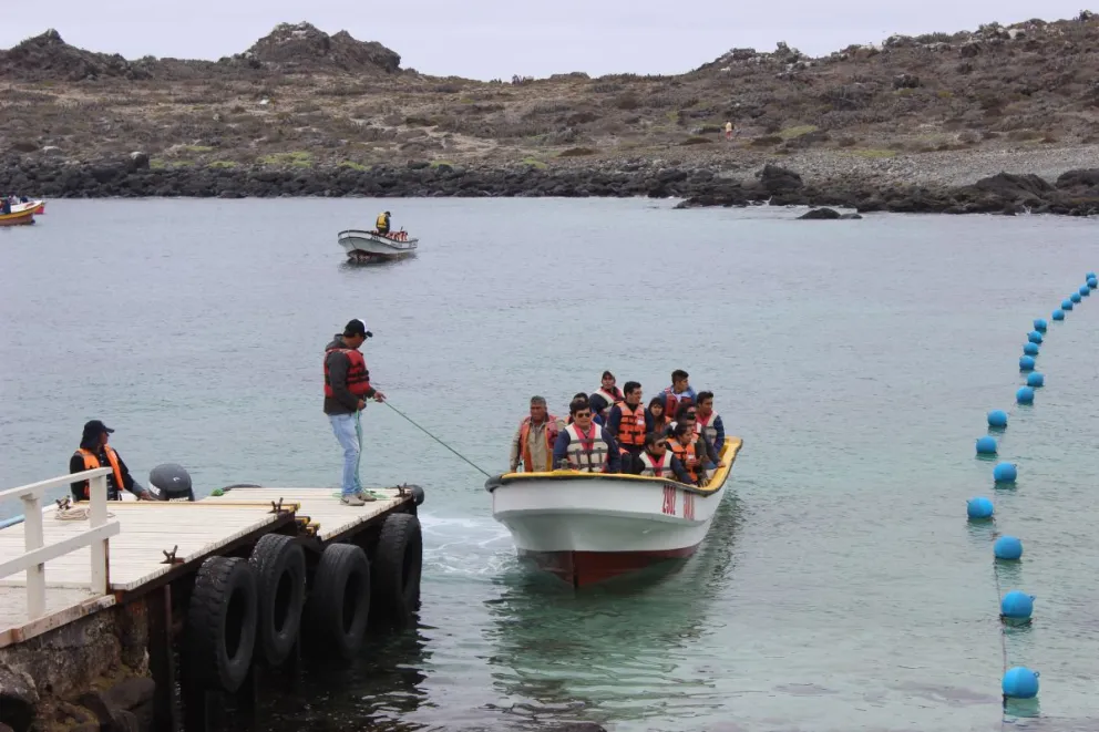 Según ha expresado el gobierno la propuesta de crear una AMCP-MU se viene analizando desde el 2013 al alero de la Mesa Regional de Conservación Marina