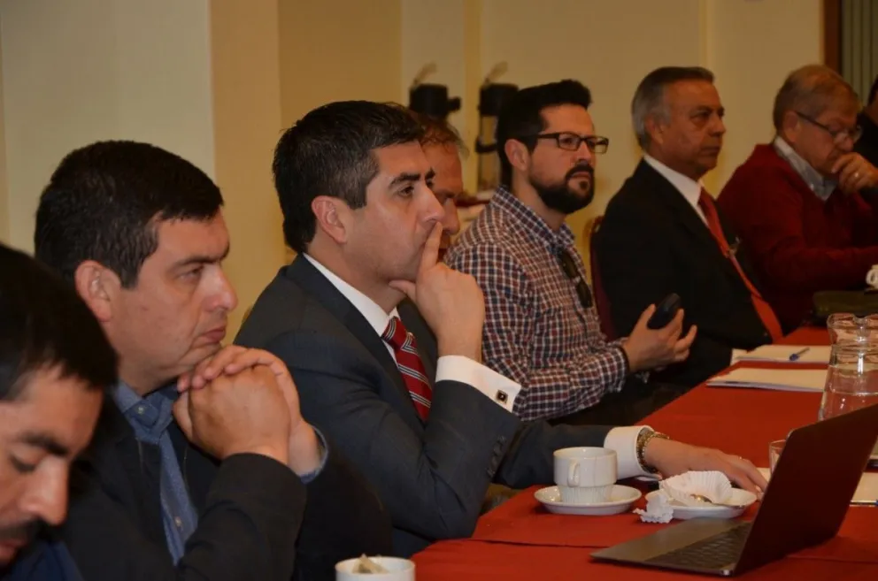 Los participantes de esta mesa acordaron reunirse cada 45 días para ir avanzando en investigaciones y análisis que permitan determinar si es factible de desarrollar esta explotación en la región.
