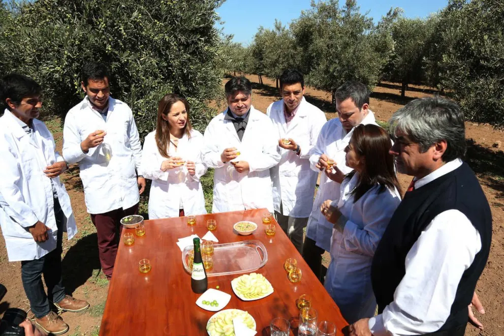 Las autoridades dieron a conocer el balance en el campo de la empresa Olisur, que ha destacado a nivel nacional por su producción de aceite de oliva.