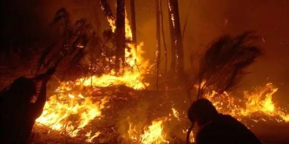 Incendios afectan a más de 10.200 hectáreas de bosques en Guatemala ...