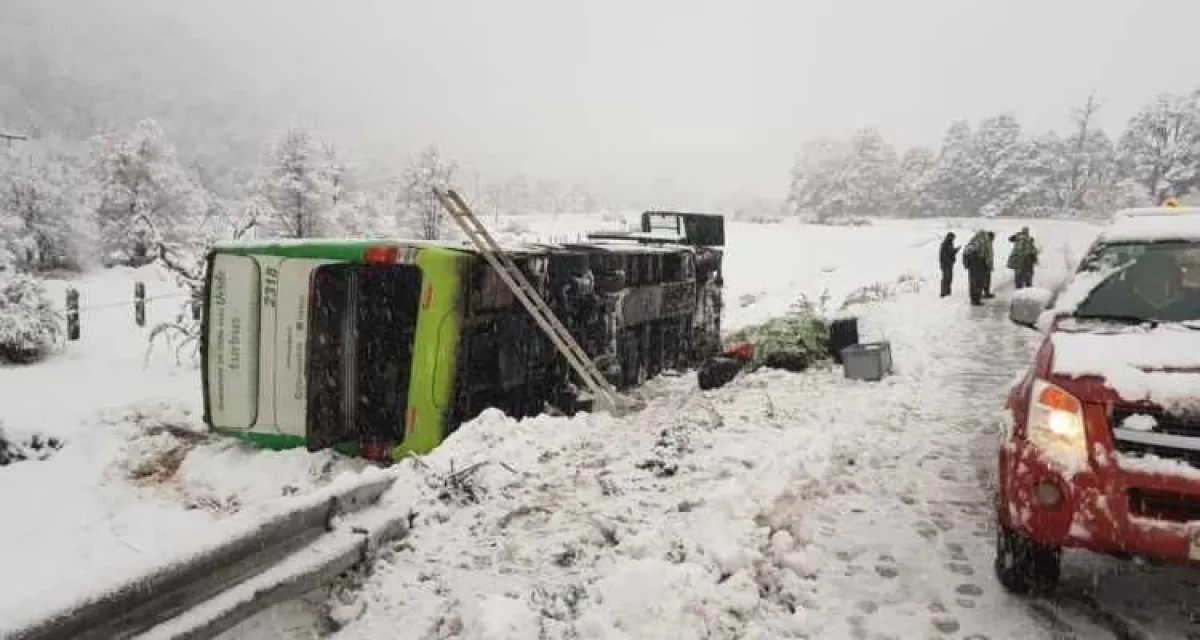 Volcamiento de bus deja al menos 8 personas lesionadas en La Araucanía ...