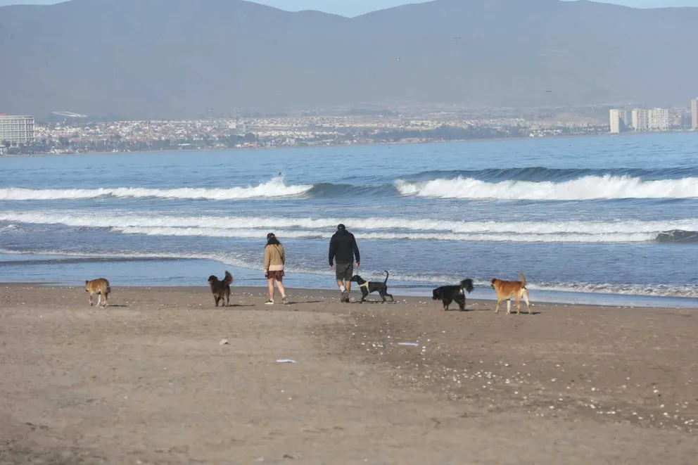 En el litoral también se ha visto escasas personas por estos días, a pesar que el llamado es a que no se salga de las casas para evitar contagios.