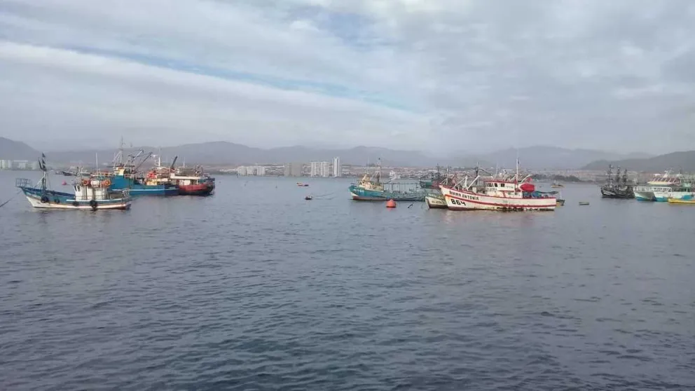 En la Bahía de Coquimbo es poco probable que se produzca un desastre ambiental debido a que no se realizan faenas que involucra el manejo de grandes cantidades de combustibles u otros productos contaminantes.