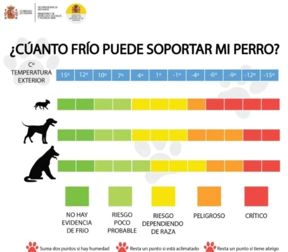 Bajas temperaturas mascotas 