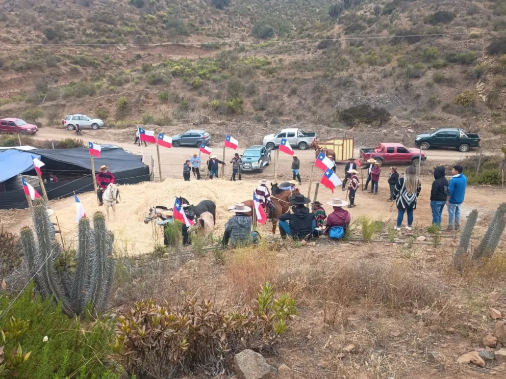 Trilla en Las Cardas/ NURY BARRAZA 