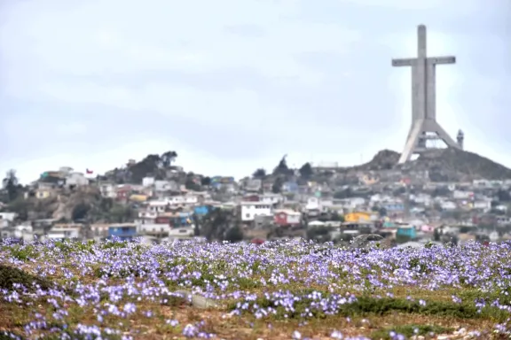 Vecinos de Coquimbo alarmados por lanzamientos de fuegos artificiales