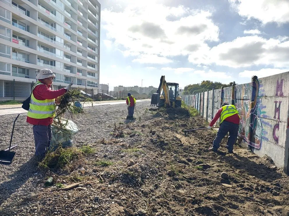 Recuperan sector de Puertas del Mar afectado por microbasurales ...
