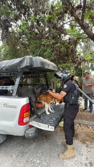 Inspectores municipales rescatan a perros amarrados