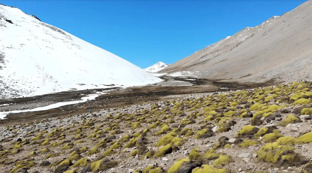 El sector del río Sasso en Monte Patria fue declarado como Santuario de la Naturaleza durante el año 2023/ EL DÍA.
